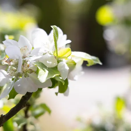 شقة Kargoll-2 By Interhome *