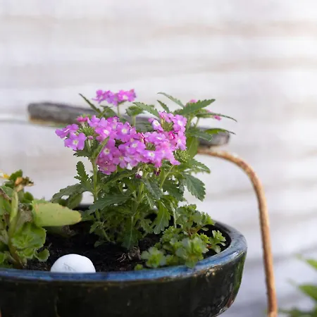 شقة Kargoll-2 By Interhome Karlshagen